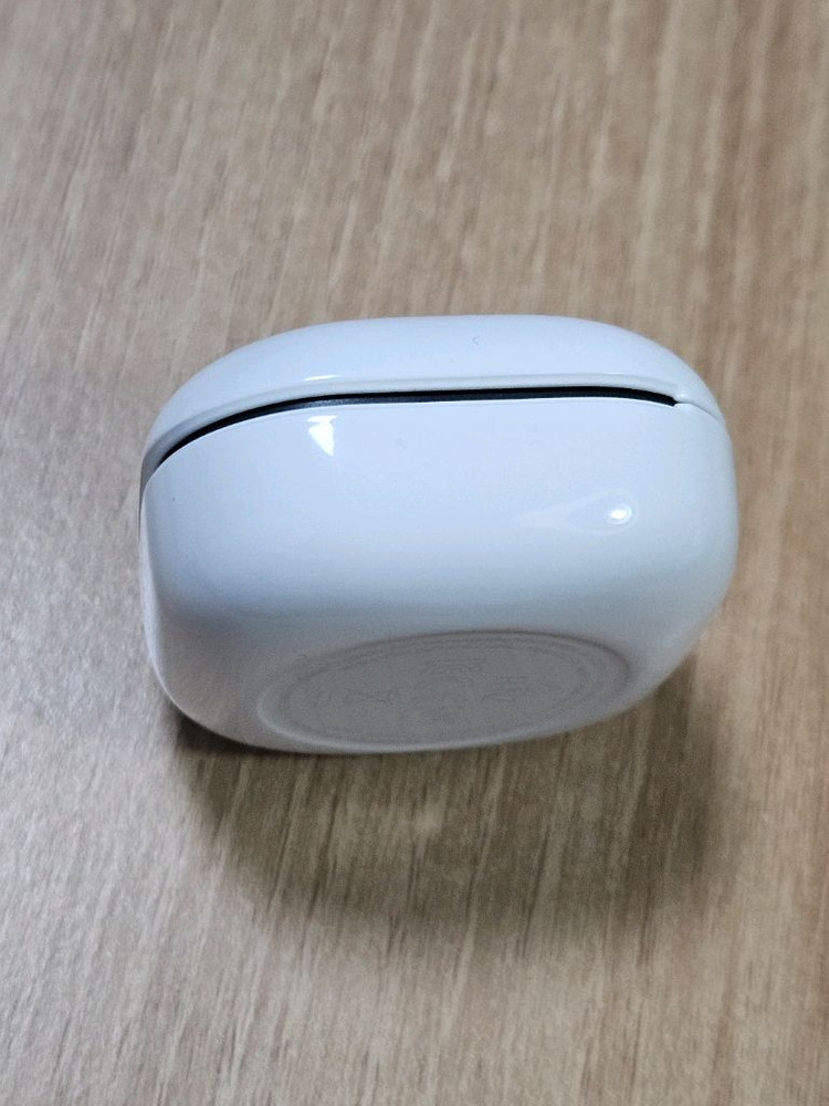 버즈FE 그라파이트 충전본체 SM-R400N 이미지