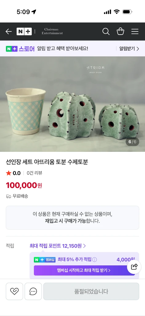 아뜨리움 선인장 오브제 이미지
