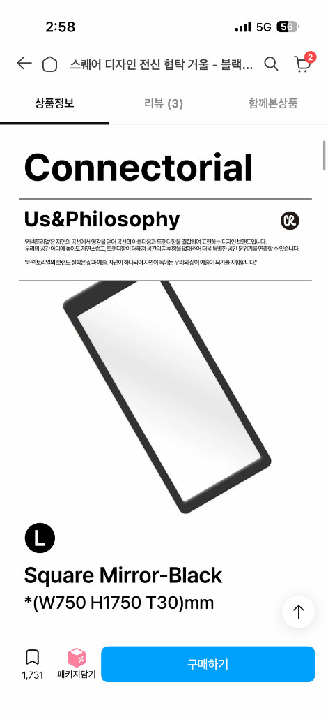커넥토리얼 스퀘어 미러 전신거울 블랙 L (정가 78만) 이미지