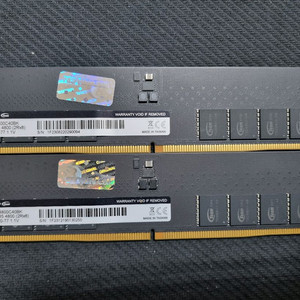 팀그룹 DDR5 64GB 32GB 2장 4800MHz 하이닉스 서린 정품 이미지