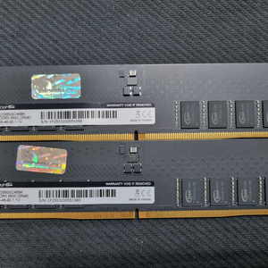 팀그룹 DDR5 64GB 32GB 2장 5600MHz 서린 정품 이미지