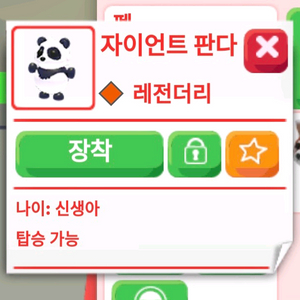 입양하세요 R자이언트판다 이미지
