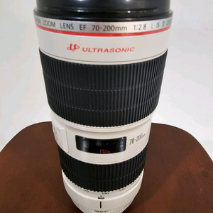 ef70-200 f2.8 ii 새아빠백통 이미지