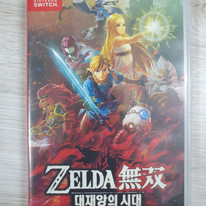 닌텐도 스위치 젤다무쌍 대재앙의시대 이미지