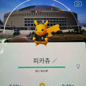 포켓몬고 피카츄 야구장 로케이션 코스튬 이로치 팝니다 이미지