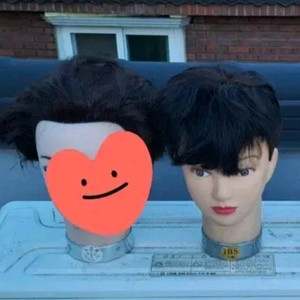 시험모 통가발 이미지
