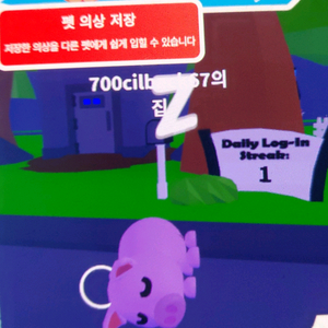 입양하세요 돼지 이미지