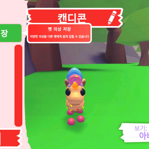 입양하세요 펫 캔디콘 판매합니다 이미지