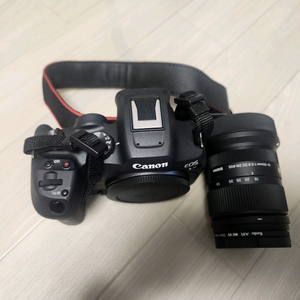 케논 EOSR7 미러러스카메라+시그마18-50mmF2.8