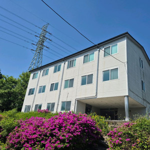 중고H빔350-175 3층 매매 이미지
