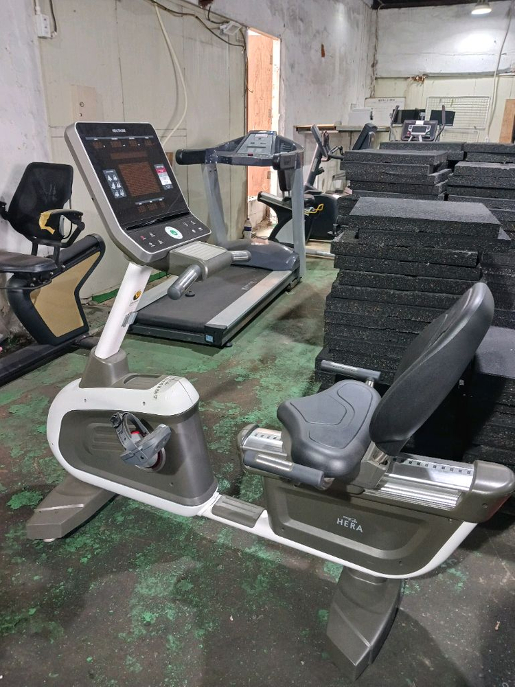 인바디230,디랙스 벤치프레스,올림픽인클라인벤치,해머디클라인벤치,헤라자전거,거꾸리 이미지