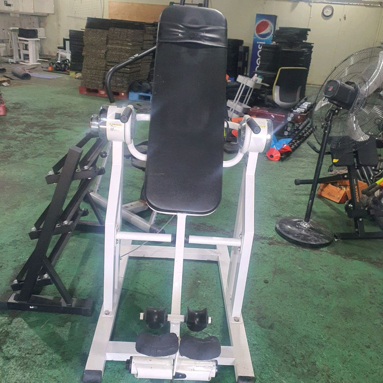 인바디230,디랙스 벤치프레스,올림픽인클라인벤치,해머디클라인벤치,헤라자전거,거꾸리 이미지