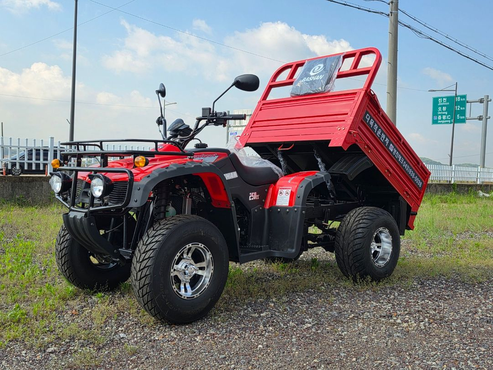 영진테크/250cc/화물오토바이/사륜오토바이/atv 이미지