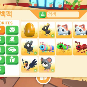 입양하세요 펫 이미지