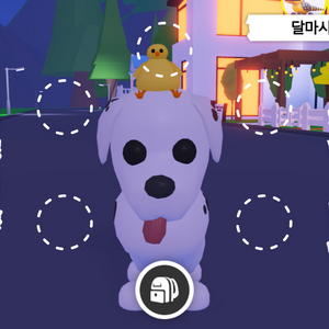 입양하세요 펫 산강 (달마시안 강아지) 판매 이미지