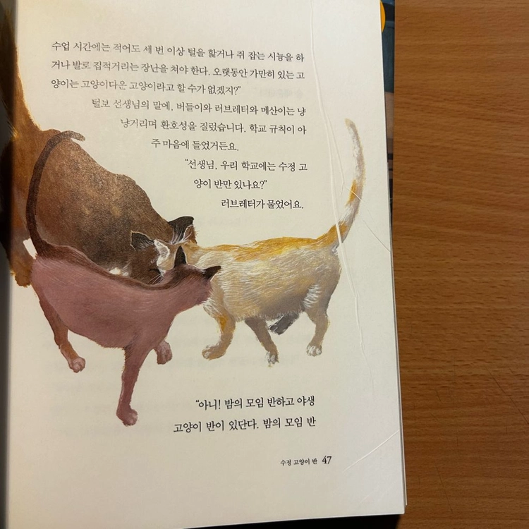 [책/아동] 고양이 학교 1~3권 전권_김진경 (문학동네) 이미지