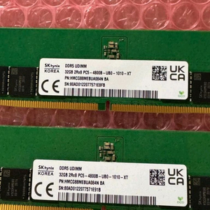 sk 하이닉스 ddr5 64gb 이미지