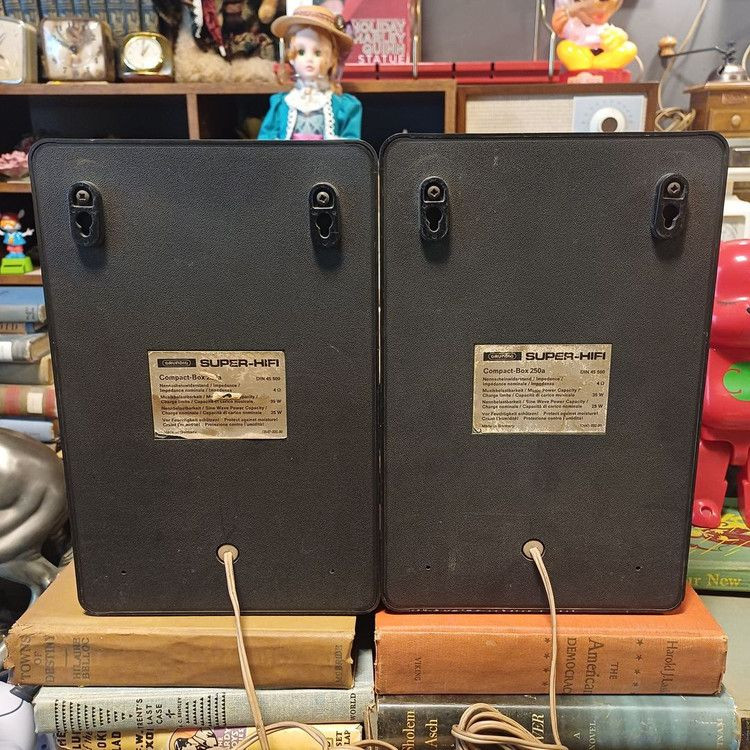 GRUNDIG Compact-Box 250a 북셀프 스피커 이미지