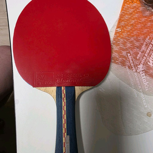 탁구라켓 이미지