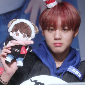 박지훈 솜인형 (아이윙 윙뽀 체리윙 훈콩이 등) 이미지
