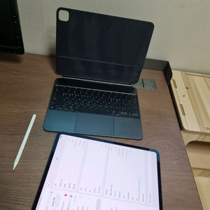 아이패드 프로 13 인치 M4 최고 2Tb 셀룰러 나노텍스처 원가512만 쿨매 키보드,애플팬슬 이미지