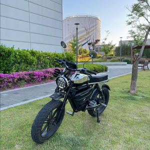 [급매풀튜닝] 엑스라이더 x200 프로 크롬 자토바이 전기자전거 (x200s 맥스 듀오 터보 X) 이미지
