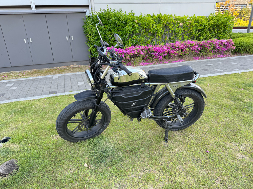 [급매풀튜닝] 엑스라이더 x200 프로 크롬 자토바이 전기자전거 (x200s 맥스 듀오 터보 X) 이미지
