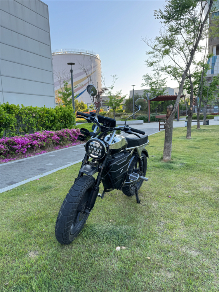 [급매풀튜닝] 엑스라이더 x200 프로 크롬 자토바이 전기자전거 (x200s 맥스 듀오 터보 X) 이미지