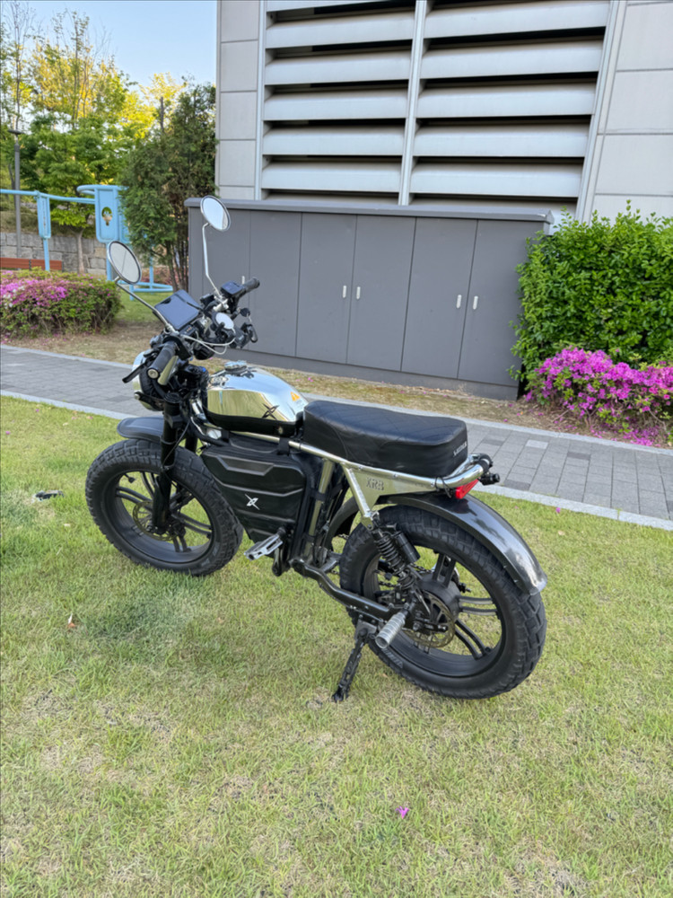 [급매풀튜닝] 엑스라이더 x200 프로 크롬 자토바이 전기자전거 (x200s 맥스 듀오 터보 X) 이미지