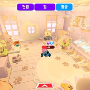 입양하세요 고양이 펫공장집 이미지
