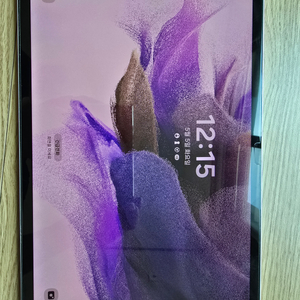 갤럭시탭 s7 fe Lte+Wifi 이미지