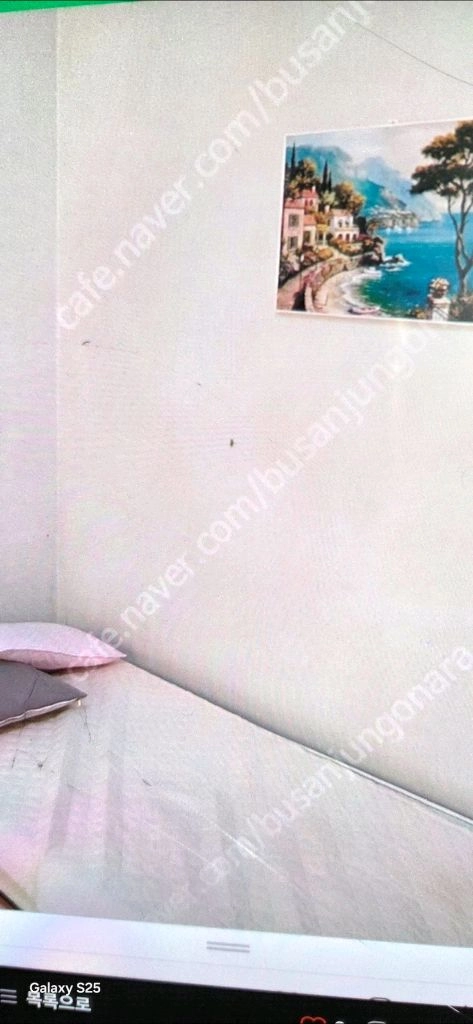 부산역 근처 층간소음 없는 단층 단독주택 23평 팝니다 - 안심되는 중고거래