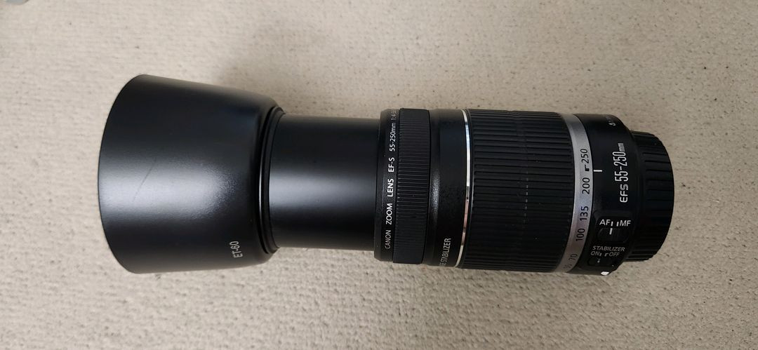 캐논 EF-S 55-250mm IS 헝그리망원 렌즈 팝니다 이미지
