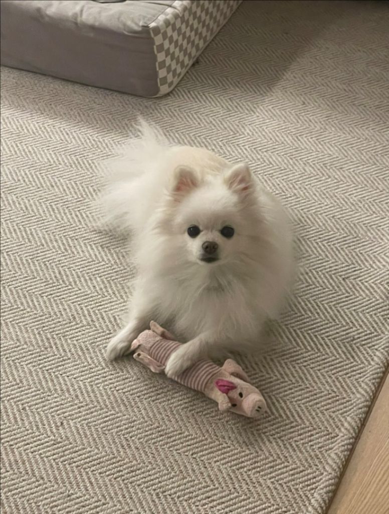 프로필 이미지