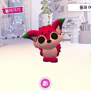 입양하세요 용과여우 이미지