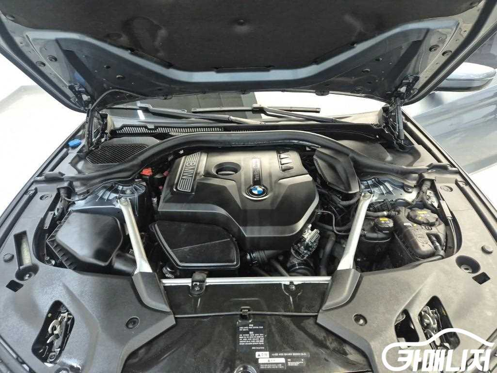 [BMW]5시리즈 (G30) 530i xDrive M 스포츠 (5인승) #고유가특가 이미지