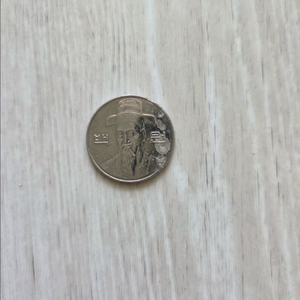 다이칩 에러동전 100원 이미지