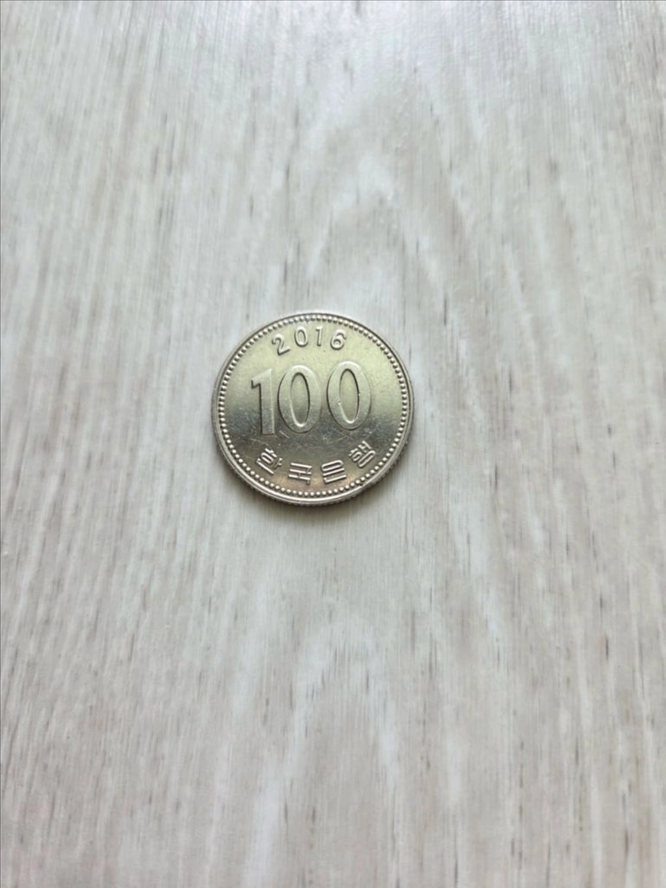 다이칩 에러동전 100원 이미지