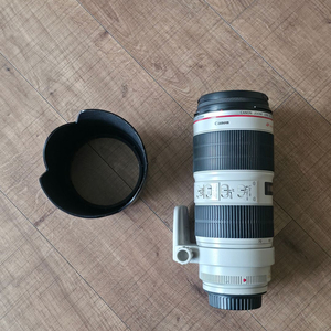 Canon(캐논) EF 70-200mm F2.8L IS ii (새아빠백통, 새새아빠백통아님) 렌 이미지