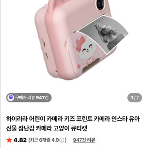 하이라라 프린트 카메라 이미지