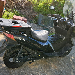 대동모빌리티 gs100 이미지