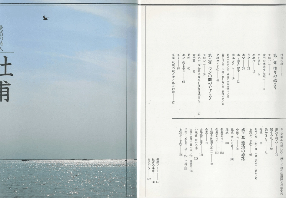 憂愁の詩人 杜甫 ( 우수의 시인 두보 ) - 詩聖、悲憤慷慨を詠う 시성 비분강개 분노 표박 여로 이미지