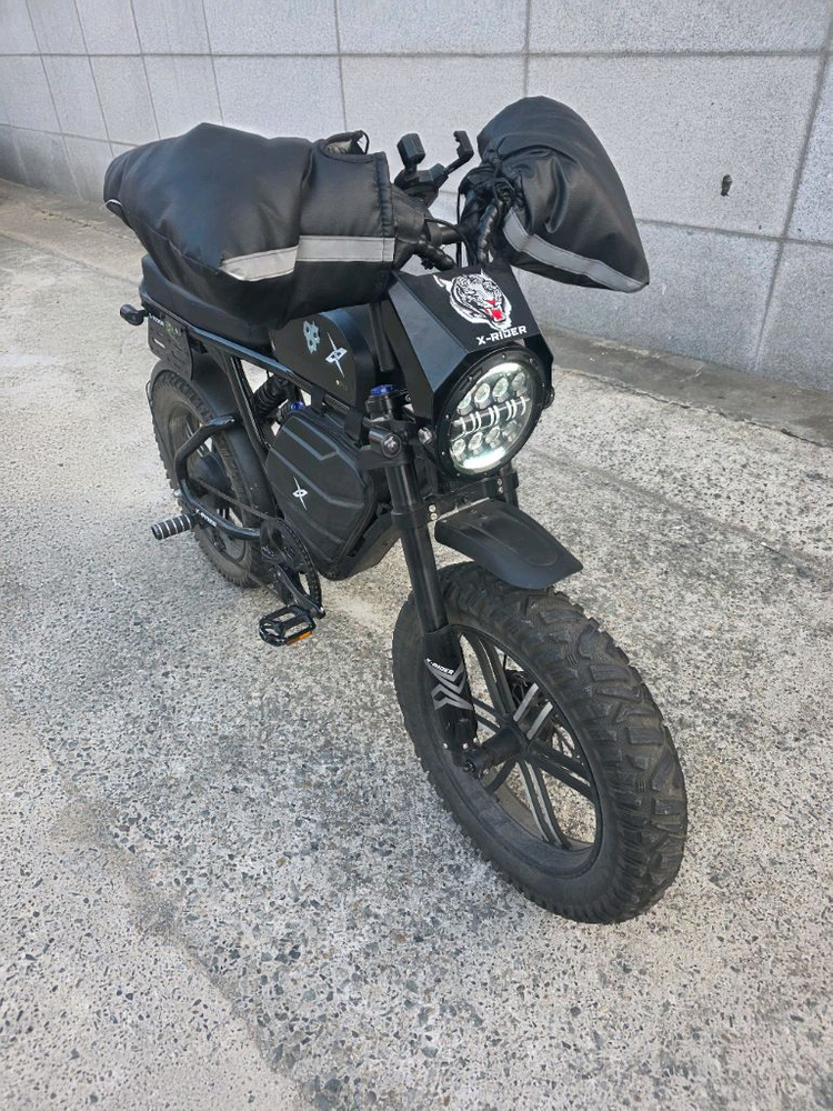 엑스라이더 x200 max 급처합니다 이미지