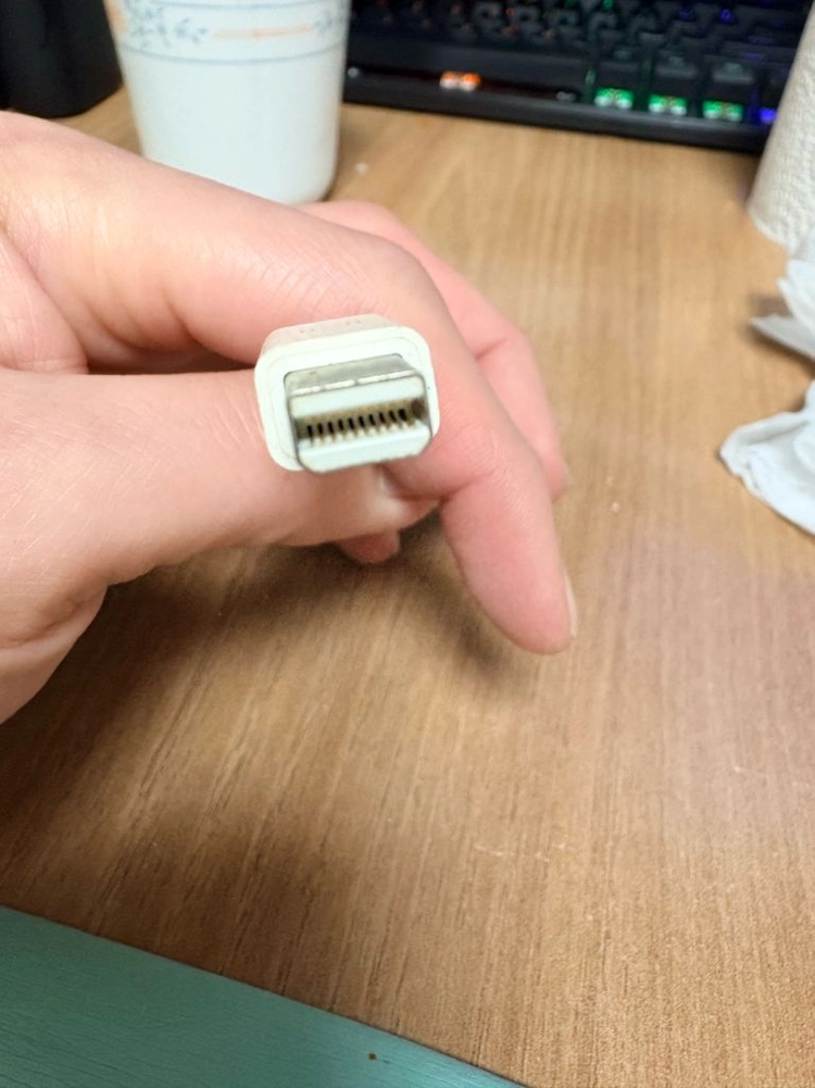 Apple 미니 디스플레이포트(썬더볼트 1/2) DVI 어댑터 이미지