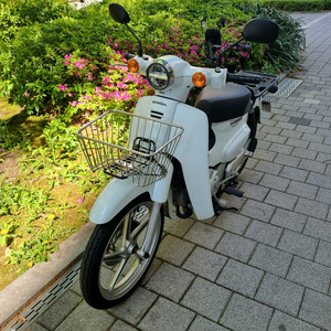슈퍼커브 화이트 23년식 6000km 이미지