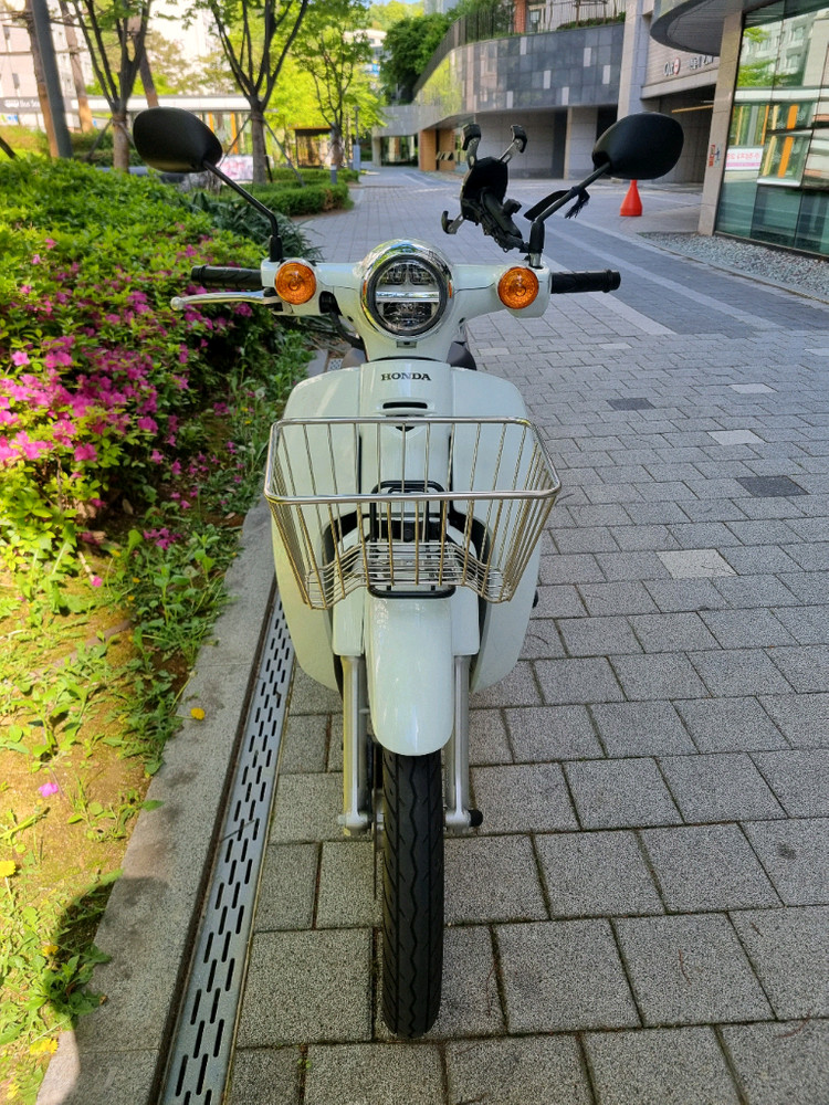 슈퍼커브 화이트 23년식 6000km 이미지