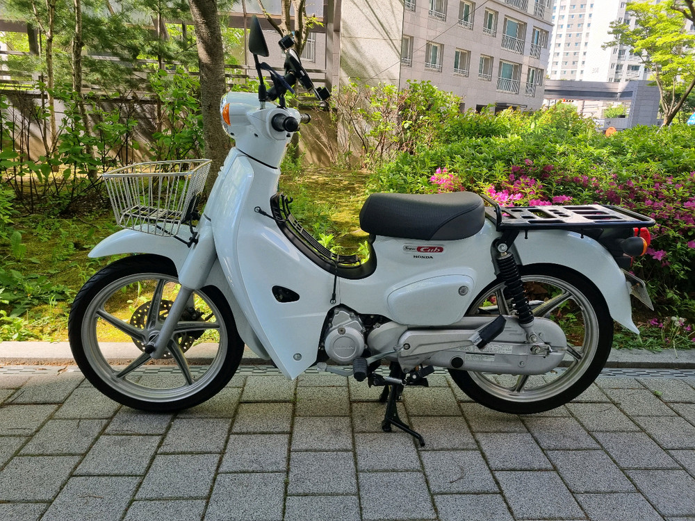 슈퍼커브 화이트 23년식 6000km 이미지