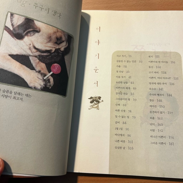 [책/아동] 사람을 길들이는 개 쭈구리_소중애 (예림당) 이미지