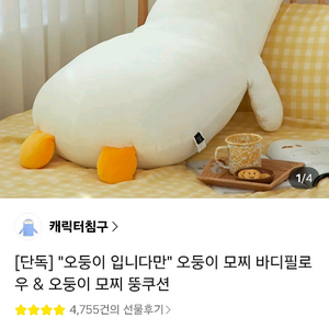 오둥이 바디필로우 이미지