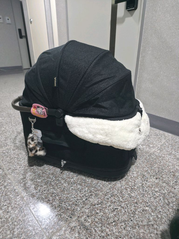 아발론 반려동물 유모차 이미지